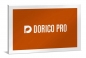 Preview: STEINBERG Dorico Pro 6, EDU (Download)