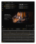 Preview: CELEMONY Tonalic Arranger - 365 Days (Download)