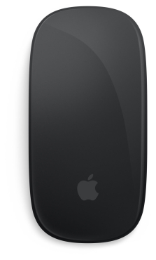 APPLE Magic Mouse (USB-C) - Schwarze Multi-Touch Oberfläche