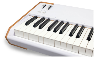 ARTURIA AstroLab 88