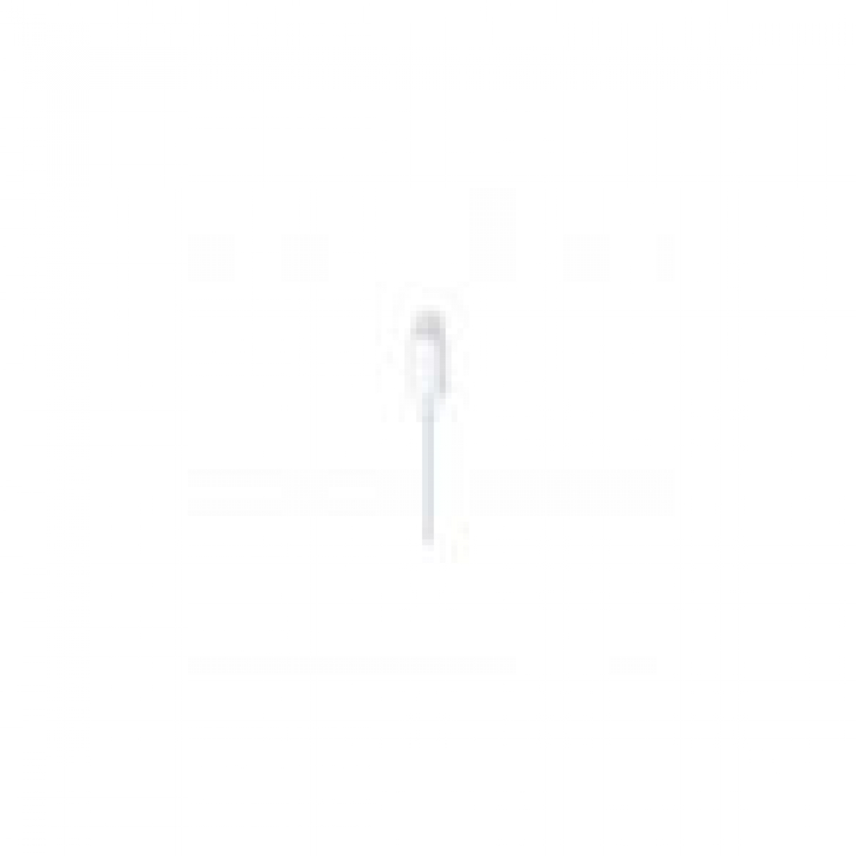 EarPods (Lightning Anschluss)